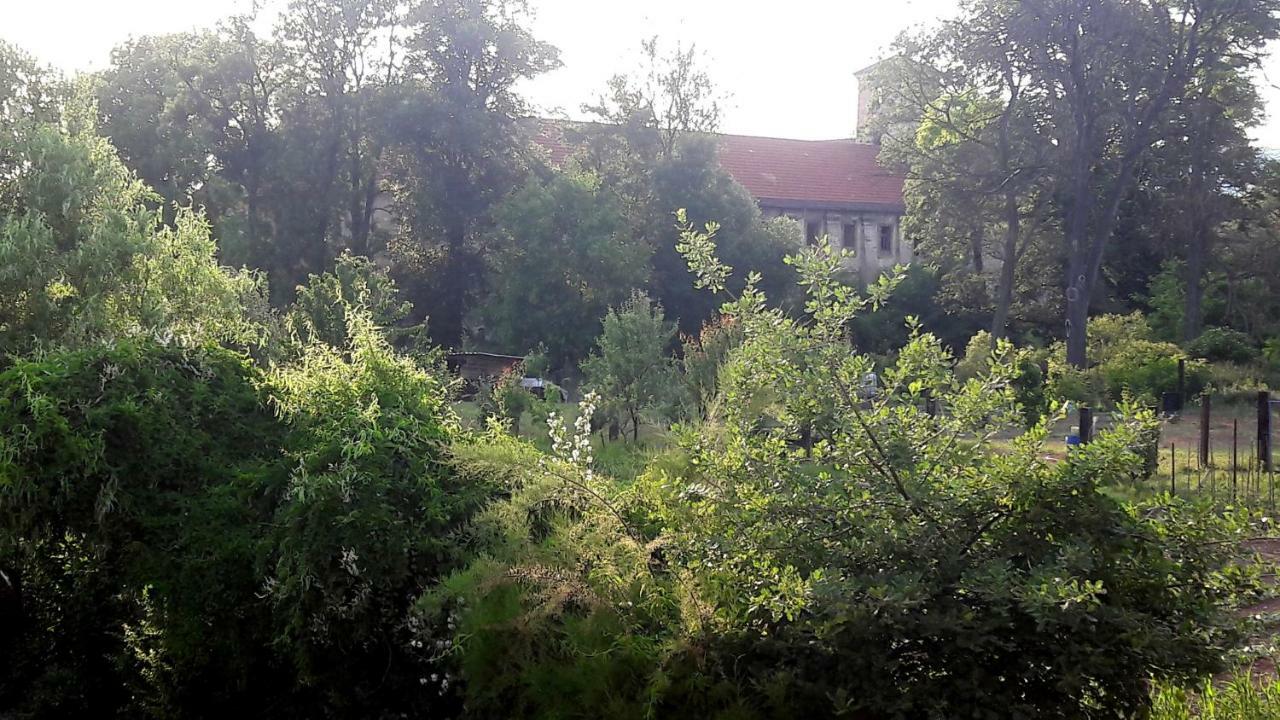 Pivovar Spitt Zahorany Vendégház Litoměřice Kültér fotó